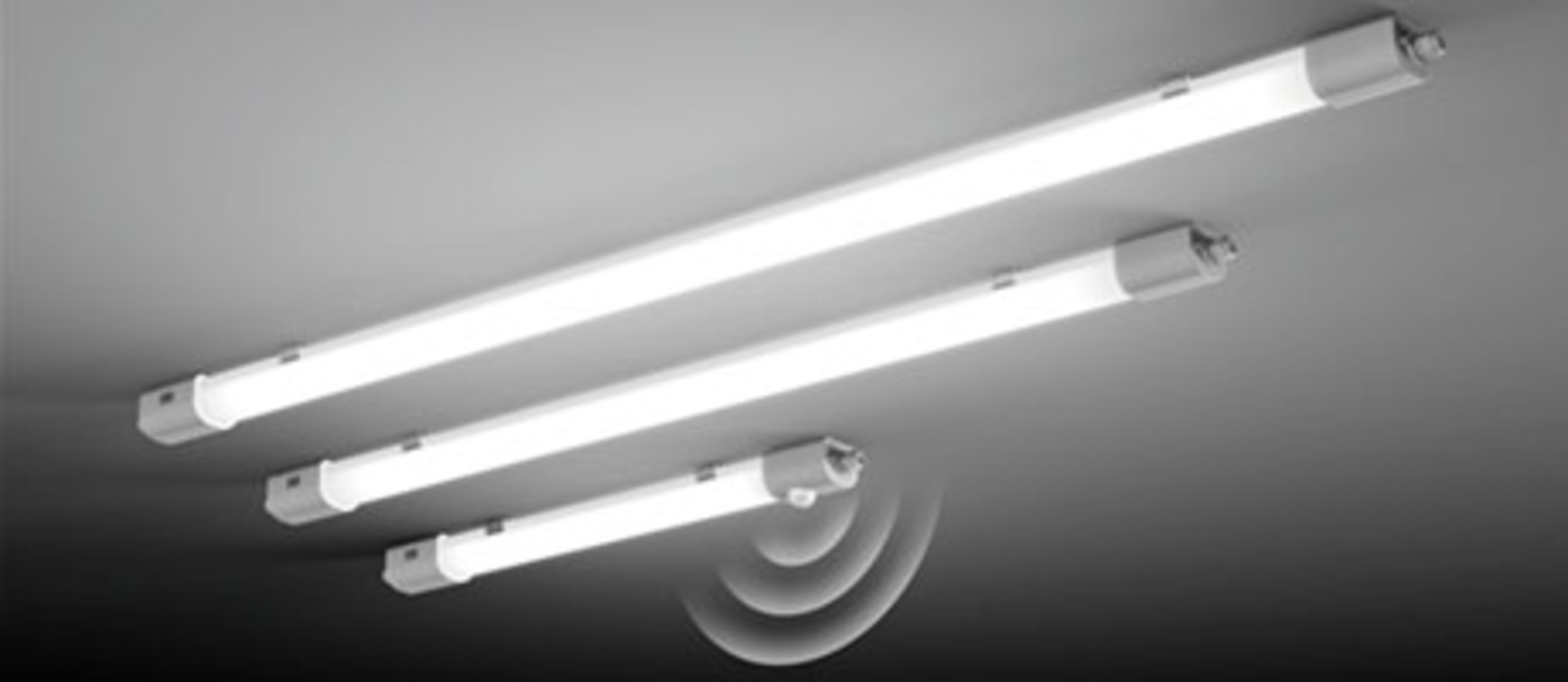 Planox Feuchtraumleuchten bei Peter Warnicke Elektro in Hamburg