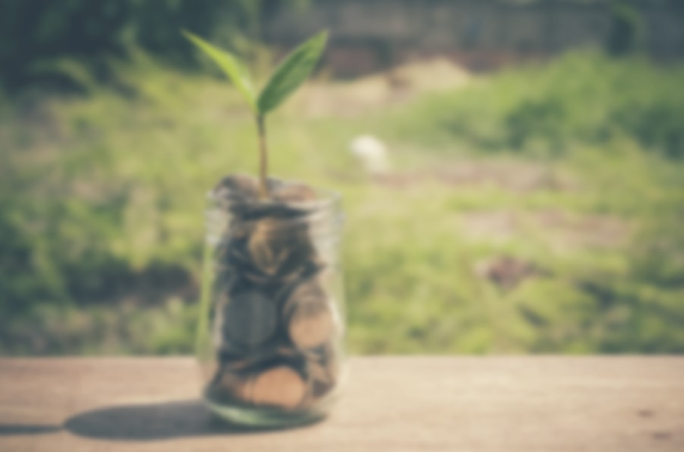 Energie sparen bei Peter Warnicke Elektro in Hamburg